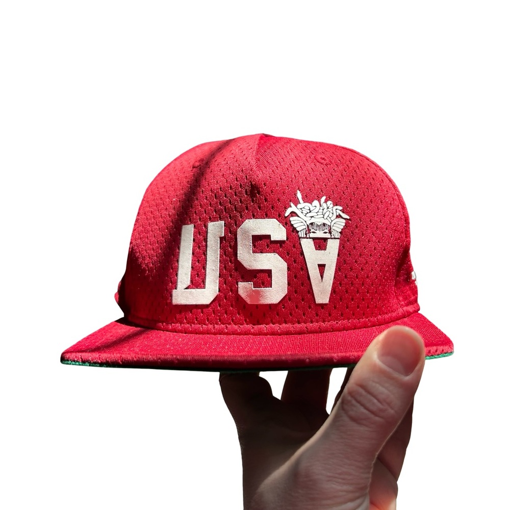 Crooks & Castles Red USA Hat